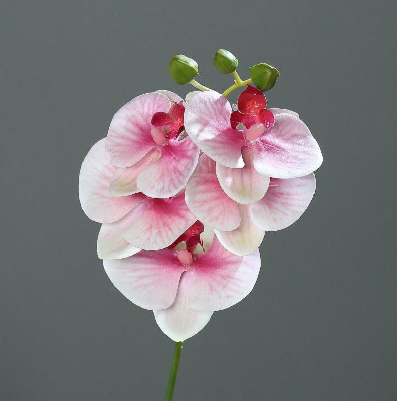 Kunstblume Orchidee-Phalaenopsis pink-cream 37 cm