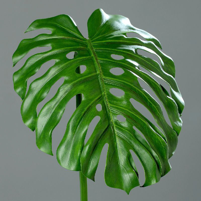 Kunstblume Monsterablatt 112cm