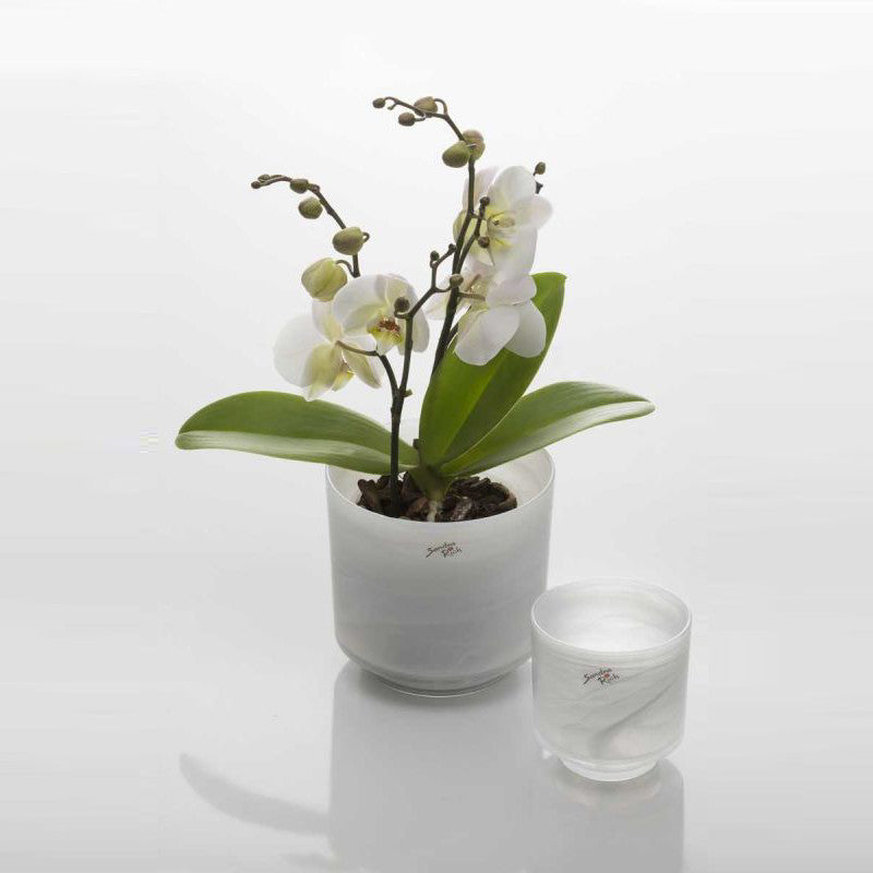 Orchideentopf aus Glas weiß Alabaster 10cm Übertopf Windlicht Votiv Dekoration