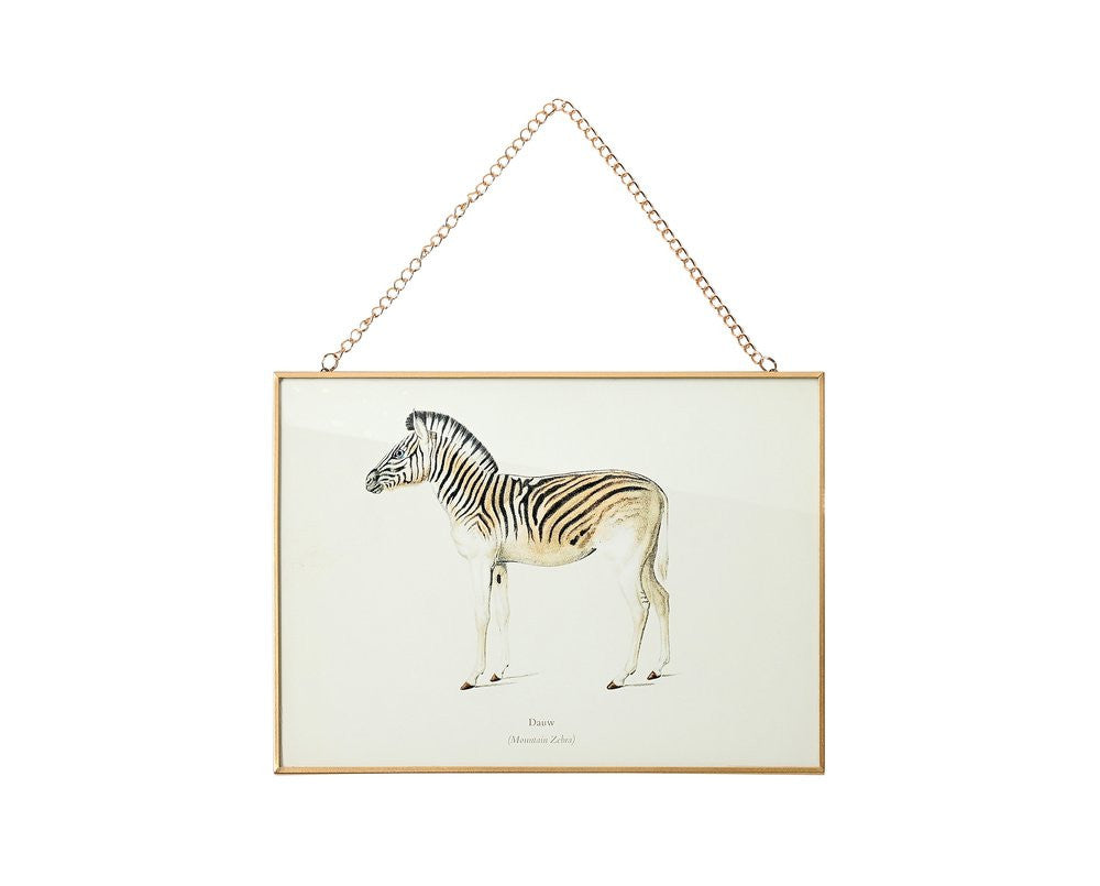 Glasbild Zebra weiß 30x21cm Wandbild mit Goldrand