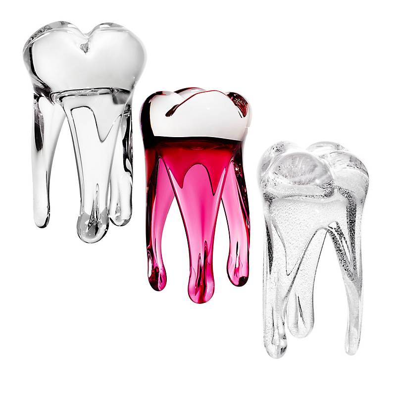 Glaszahn Trophäe div. Größen/Farben