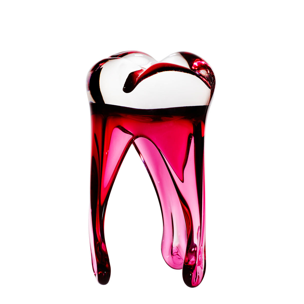 Glaszahn Trophäe div. Größen/Farben