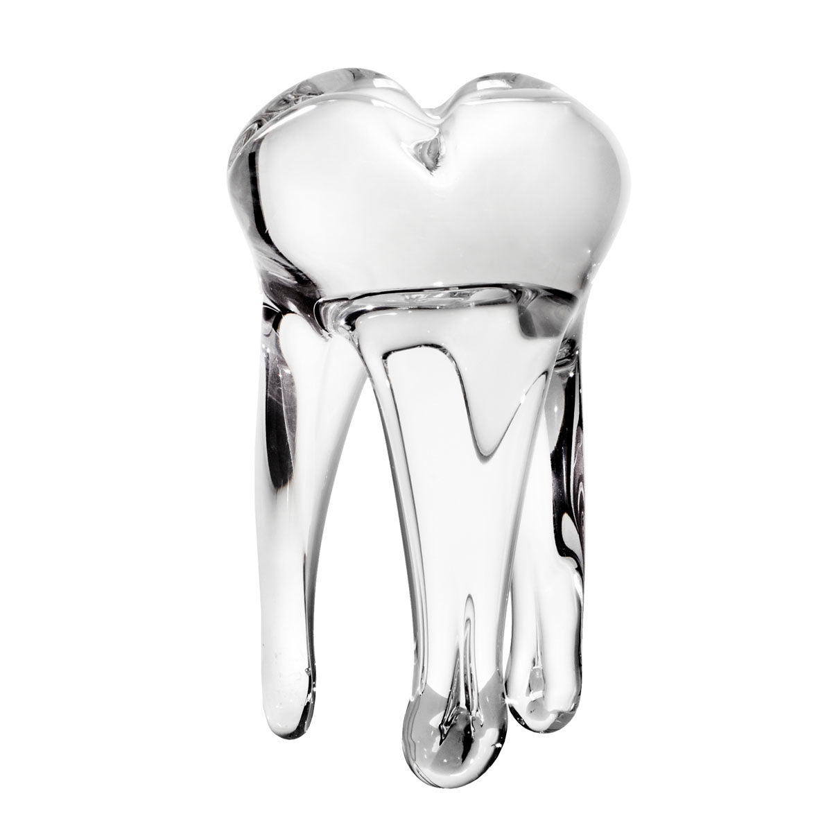 Glaszahn Trophäe div. Größen/Farben