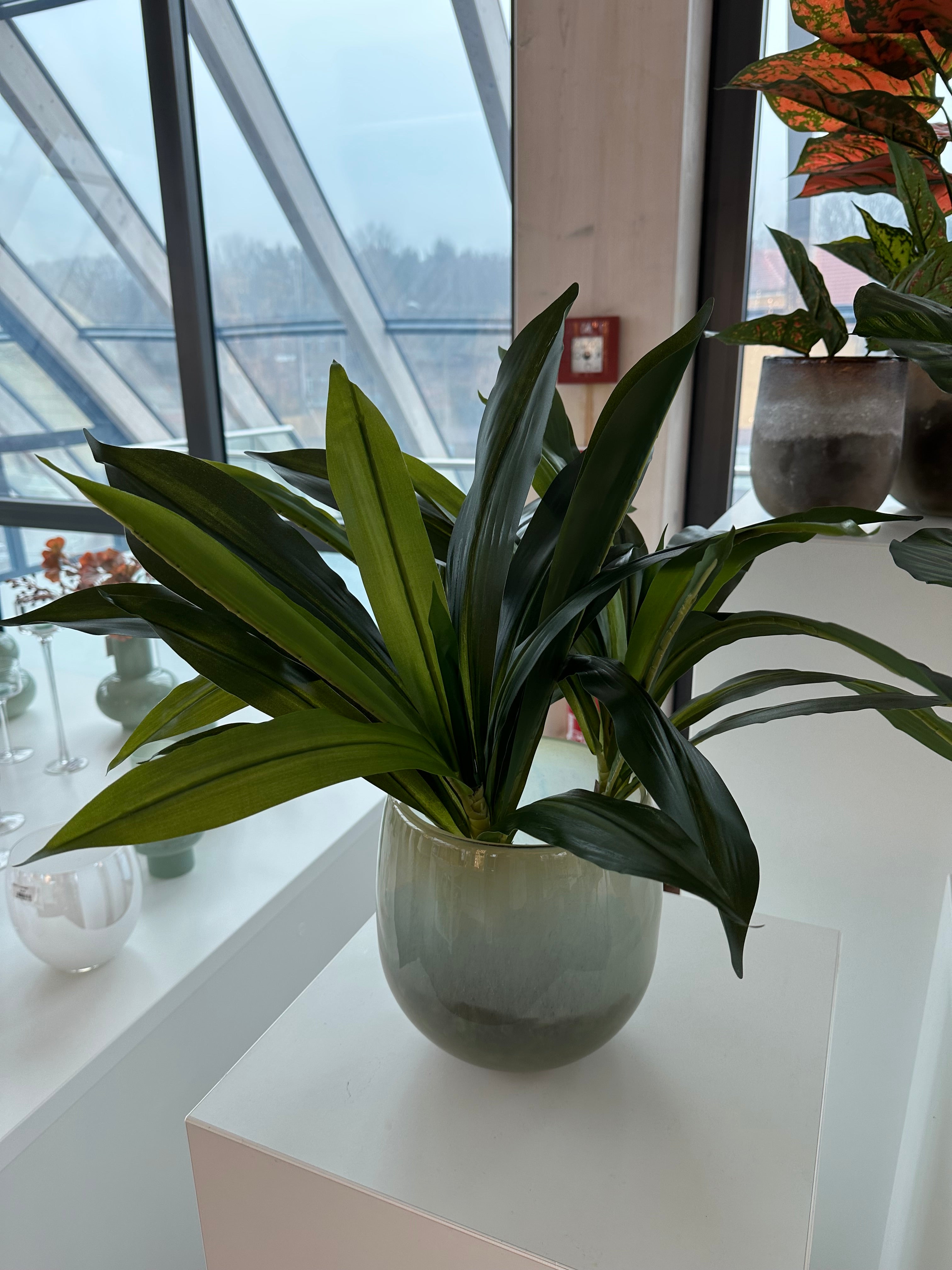 Dracaena fragrans Kunstpflanze