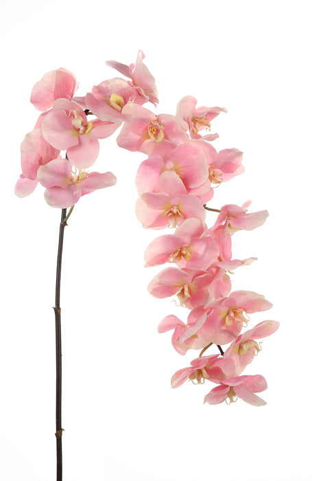 Kunstblume Orchidee Sensation 168cm