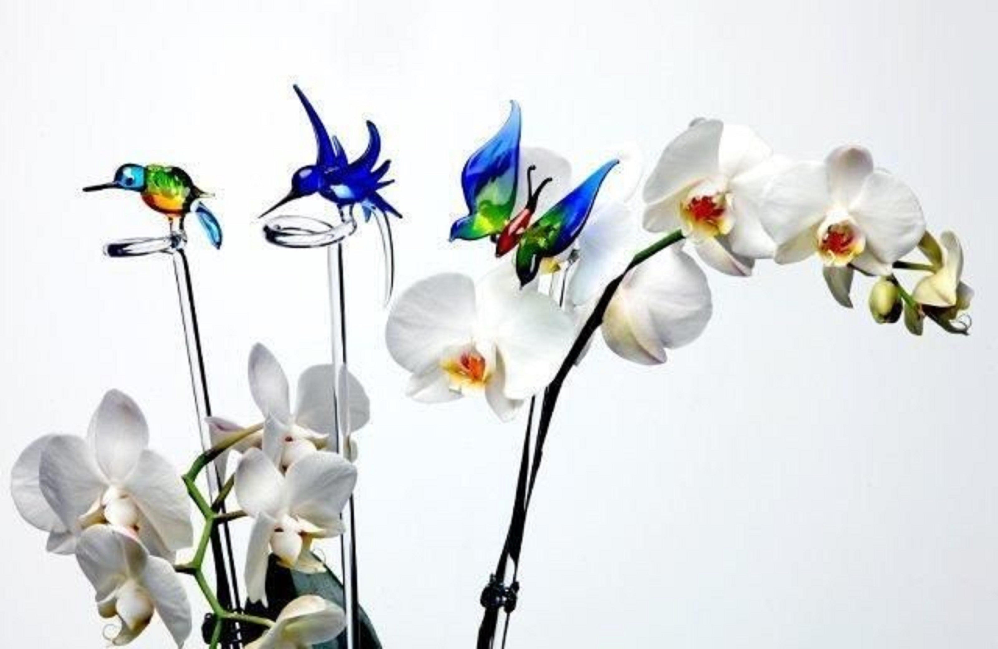Orchideenstab Eisvogel sitzend"Gartenflair" (ca.50cm)