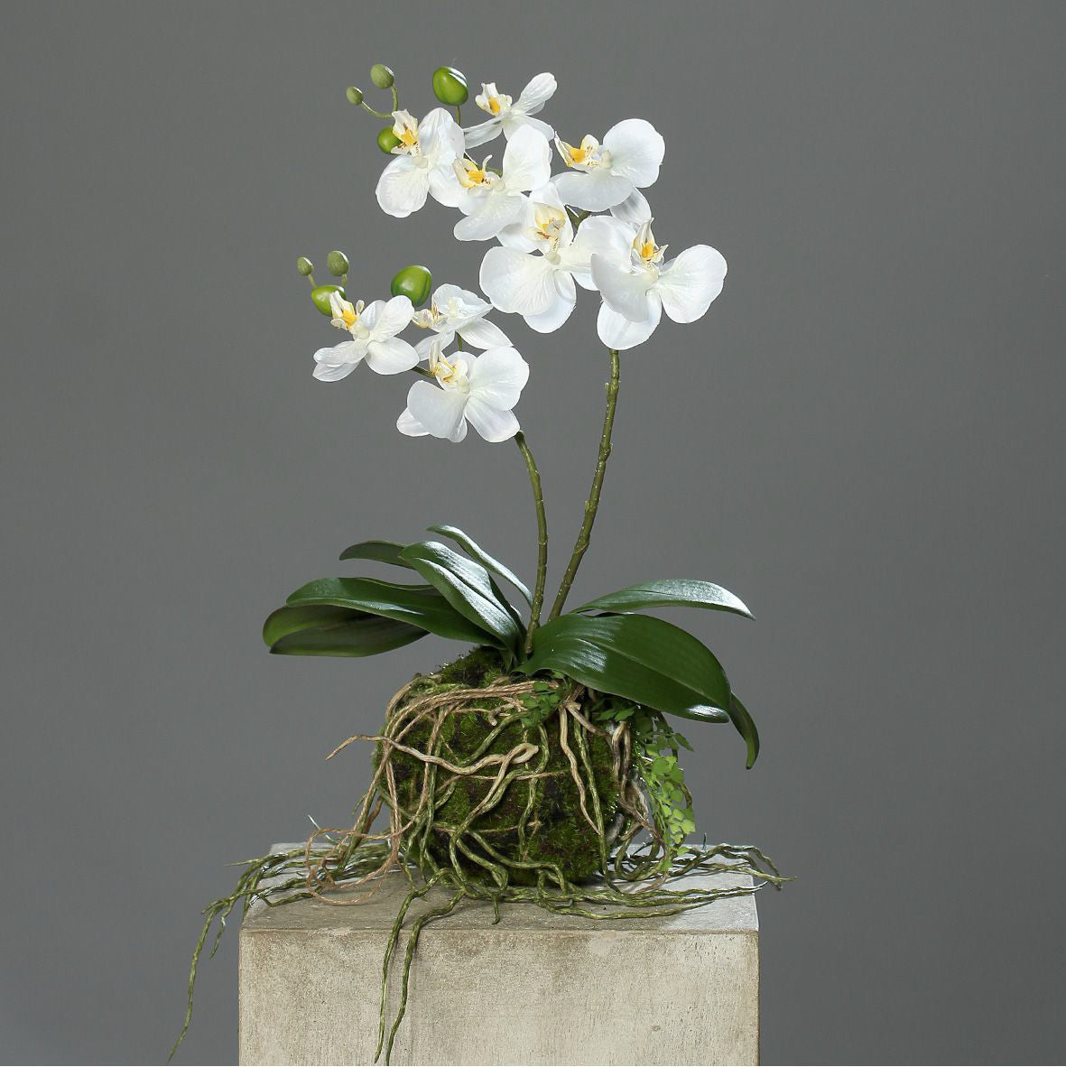 Kunstblume Orchidee mit Erdballen creme