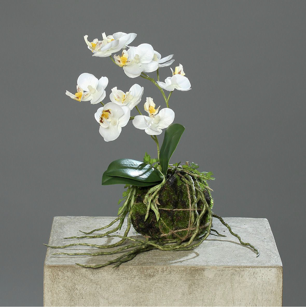 Kunstblume Orchidee mit Erdballen creme