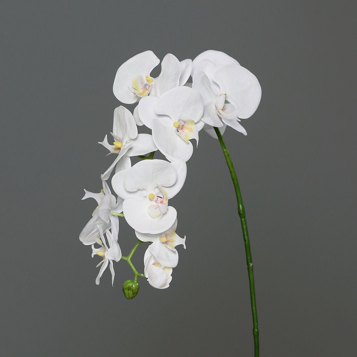 Kunstblume Orchidee-Phalaenopsis cream 95cm