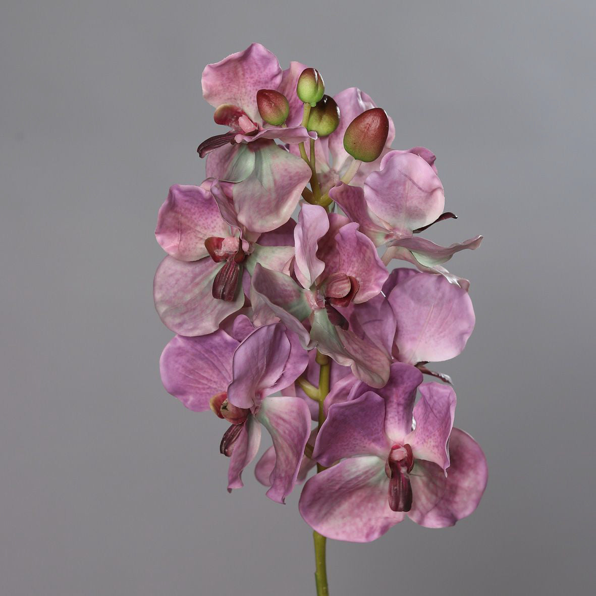 Kunstblume Orchidee-Vanda lila 74cm