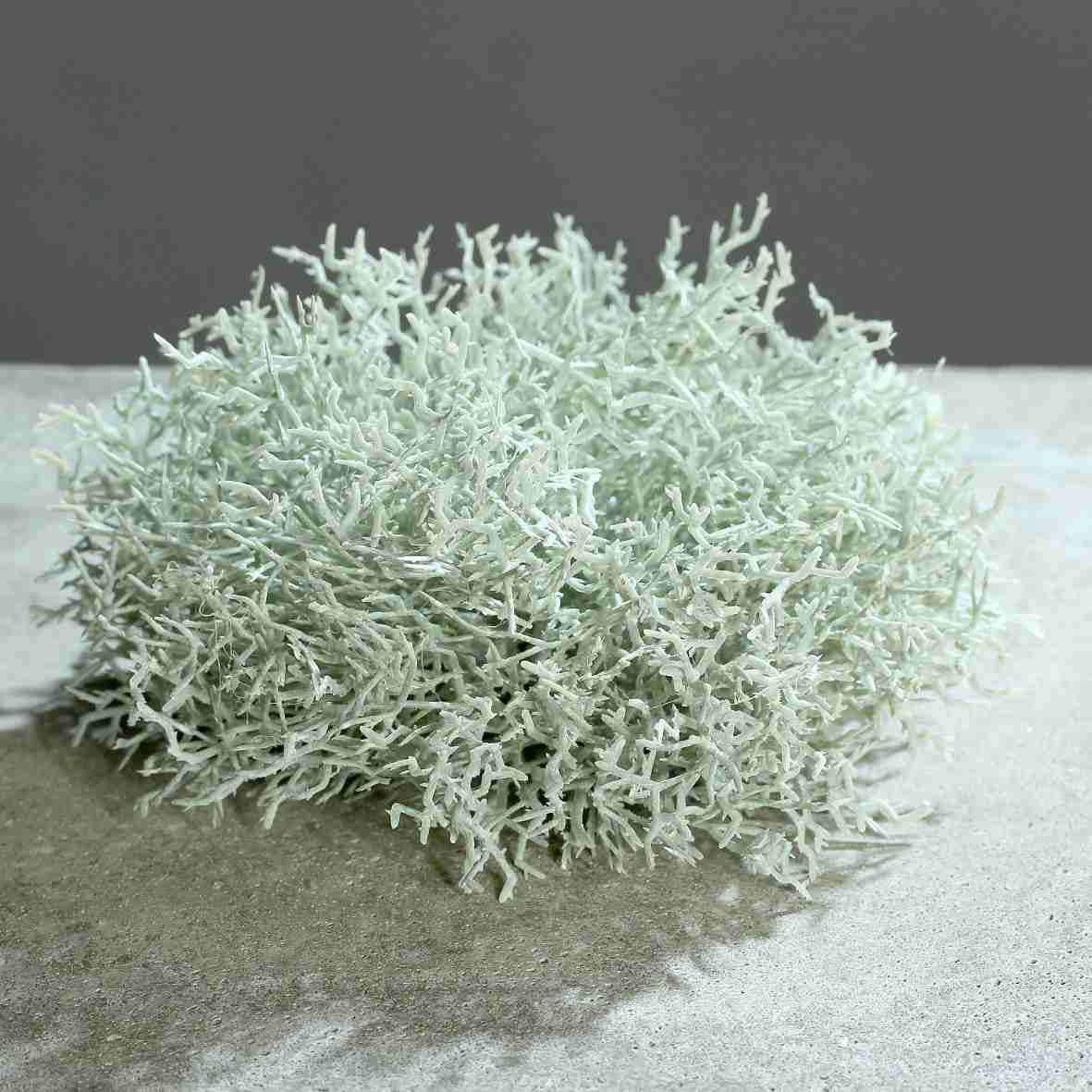 Kunstblume Korallenbusch frosted 15cm