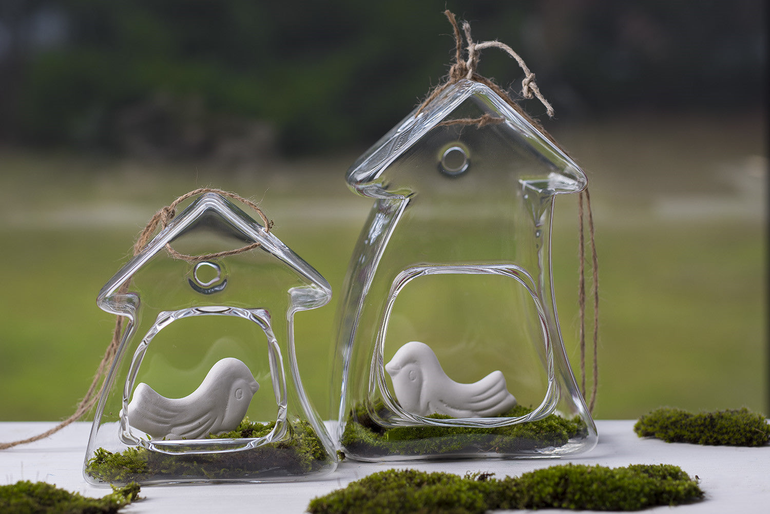 Glasvase zum Hängen Haus 13cm Pflanzgefäß mit Loch Dekoration Geschenk Klarglas