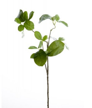 Kunstblume Blätterzweig grün 65 cm