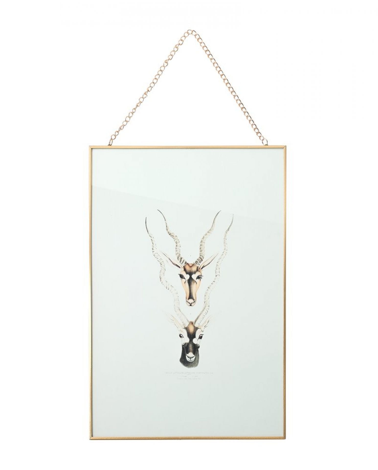 Glasbild Antilope weiß 27x39cm Wandbild mit Goldrand