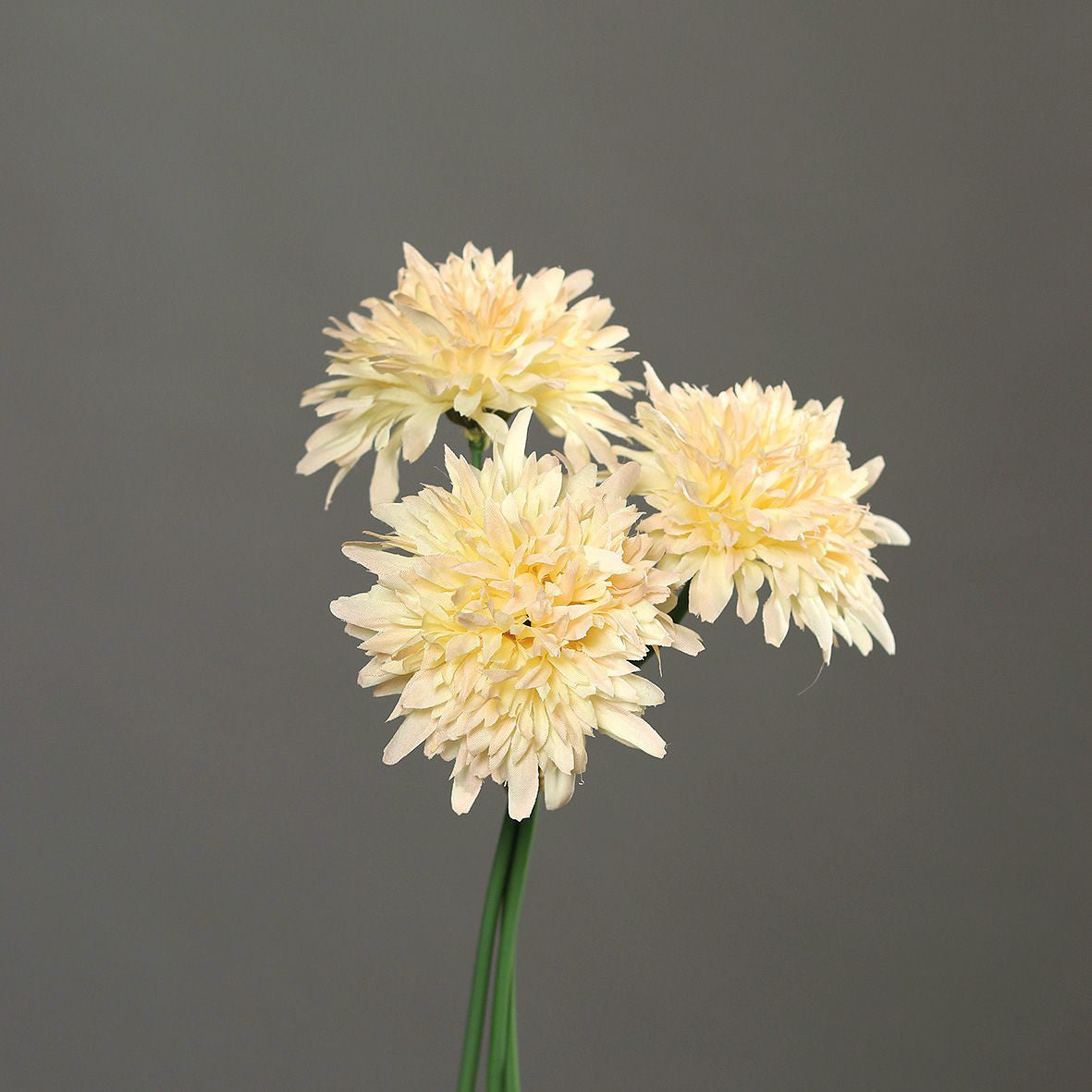 Kunstblume Scabiosa 25 cm cream Bund (3 Stück)