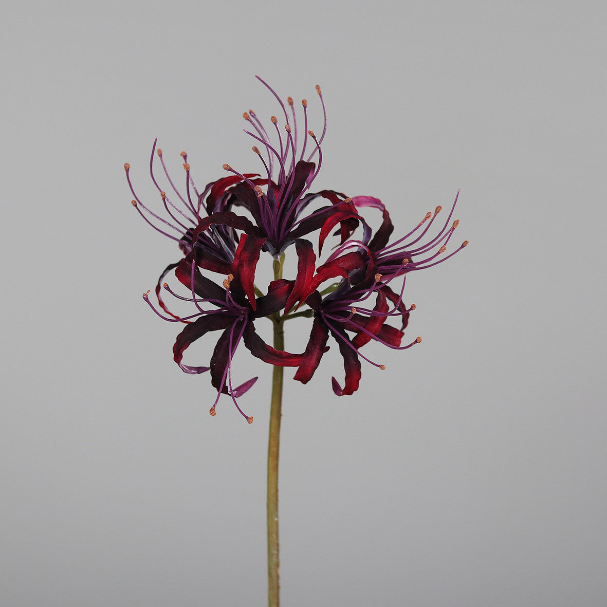 Kunstblume Nirine 70 cm burgundy