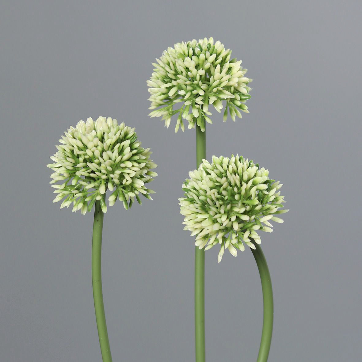 Kunstblume Allium 34 cm cream Bund (3 Stück)